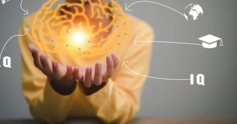 What Is IQ Definition?