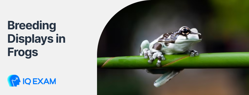 Breeding Displays in Frogs