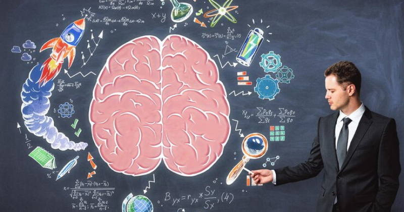 Executive Function And The Brain