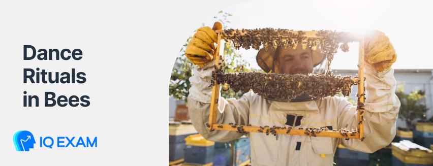 Dance Rituals in Bees